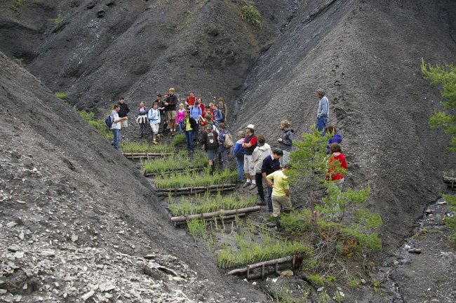 Expérimentation de génie végétal sur le bassin du Francon